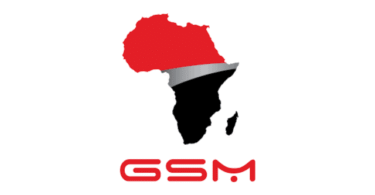 ERP Manager Opportunity at GSM