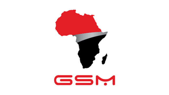 ERP Manager Opportunity at GSM