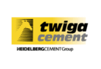 Assistant Accountant Job at Twiga Cement Tanzania