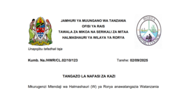 Rorya District Council Announce 14 Job Vacancies